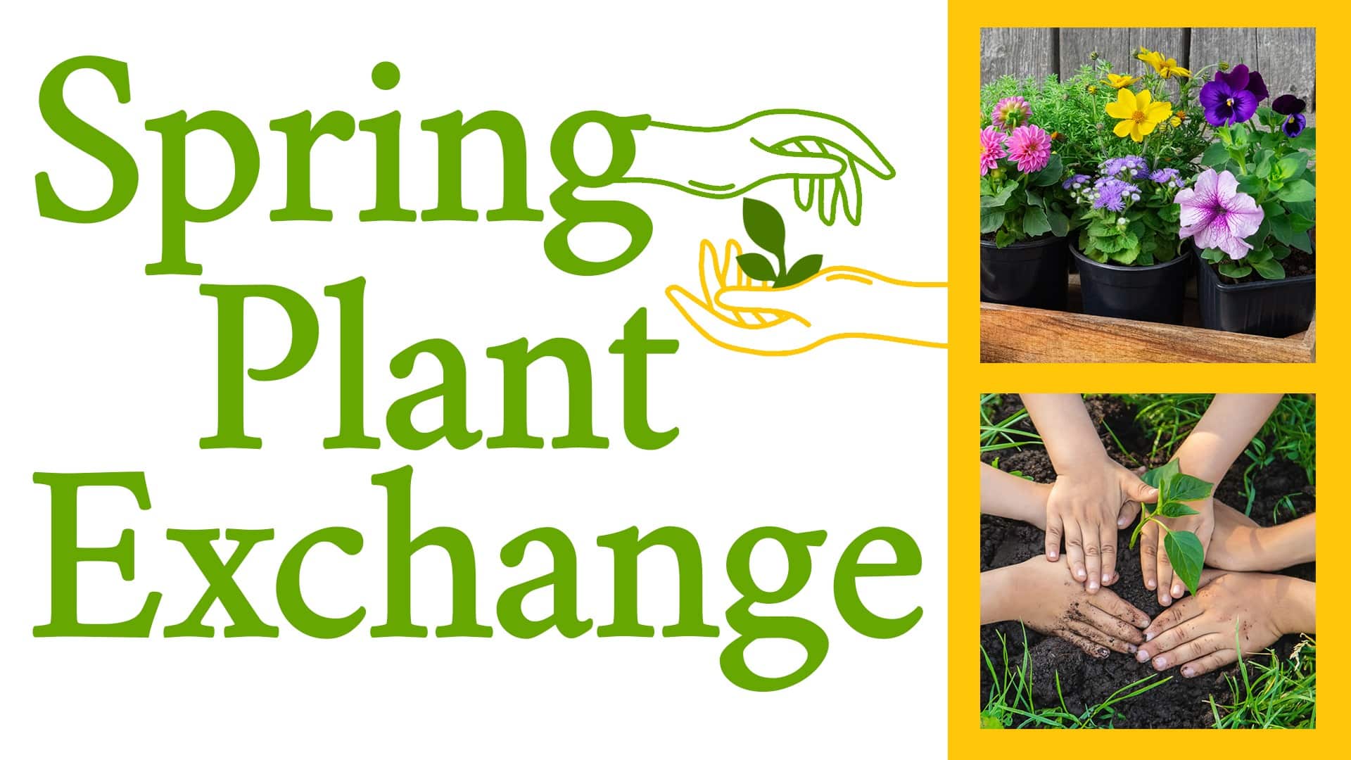 Spring Plant Exchange