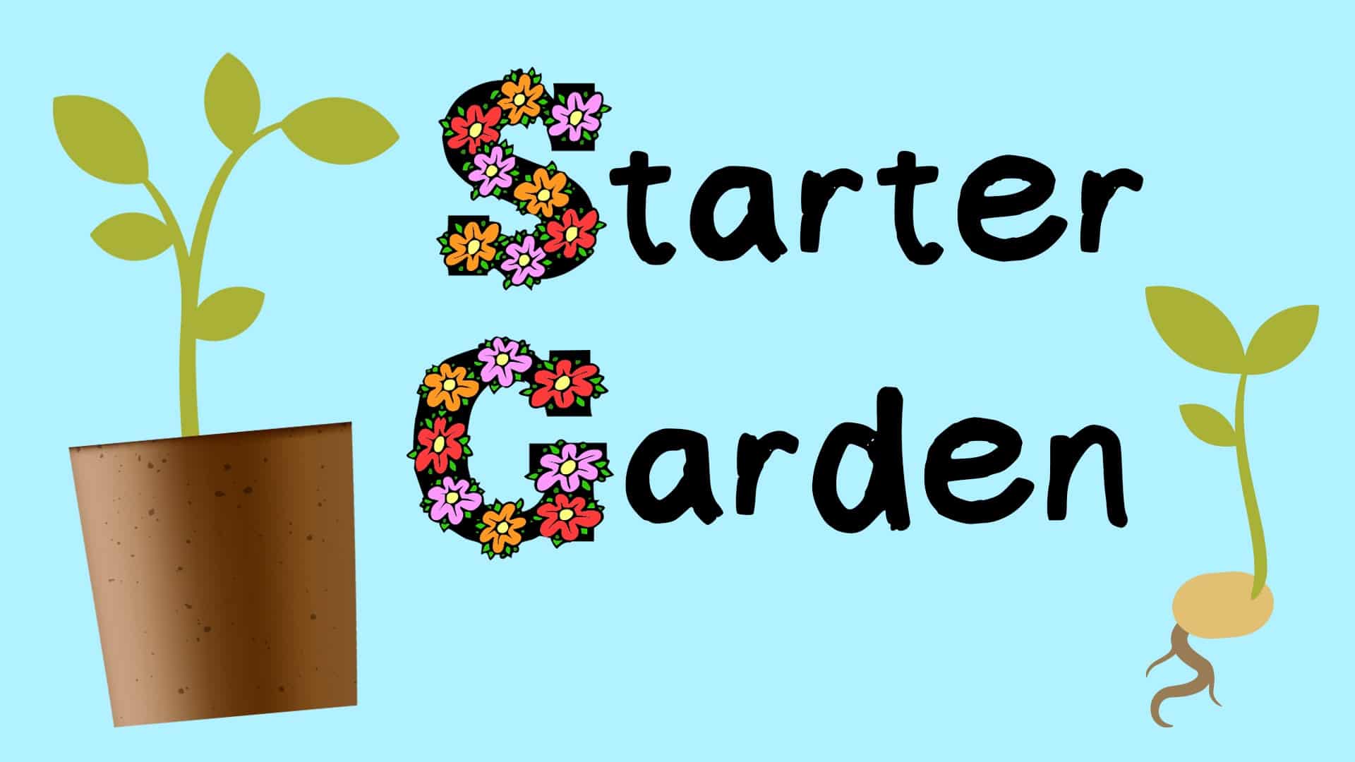 Starter Garden