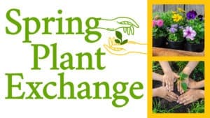reads "Spring Plant Exchange" against a white background with two hands exchanging a plant beside the word spring. To the right of the title is a yellow rectangle with two pictures of plants inside the rectangle.