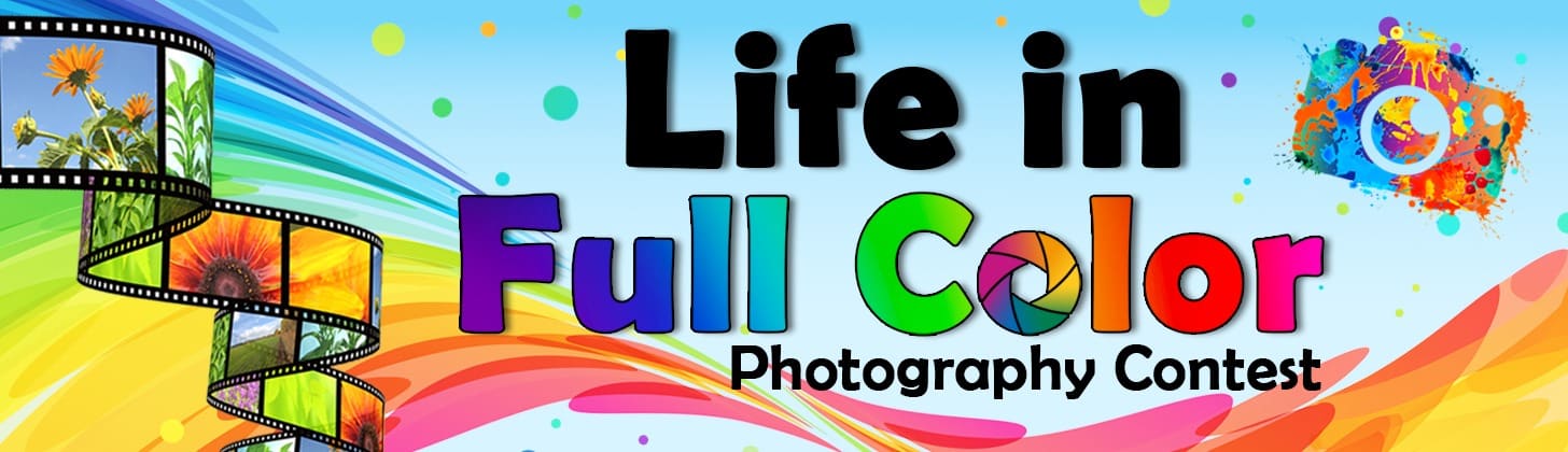 Life in Full Color Photography Contest