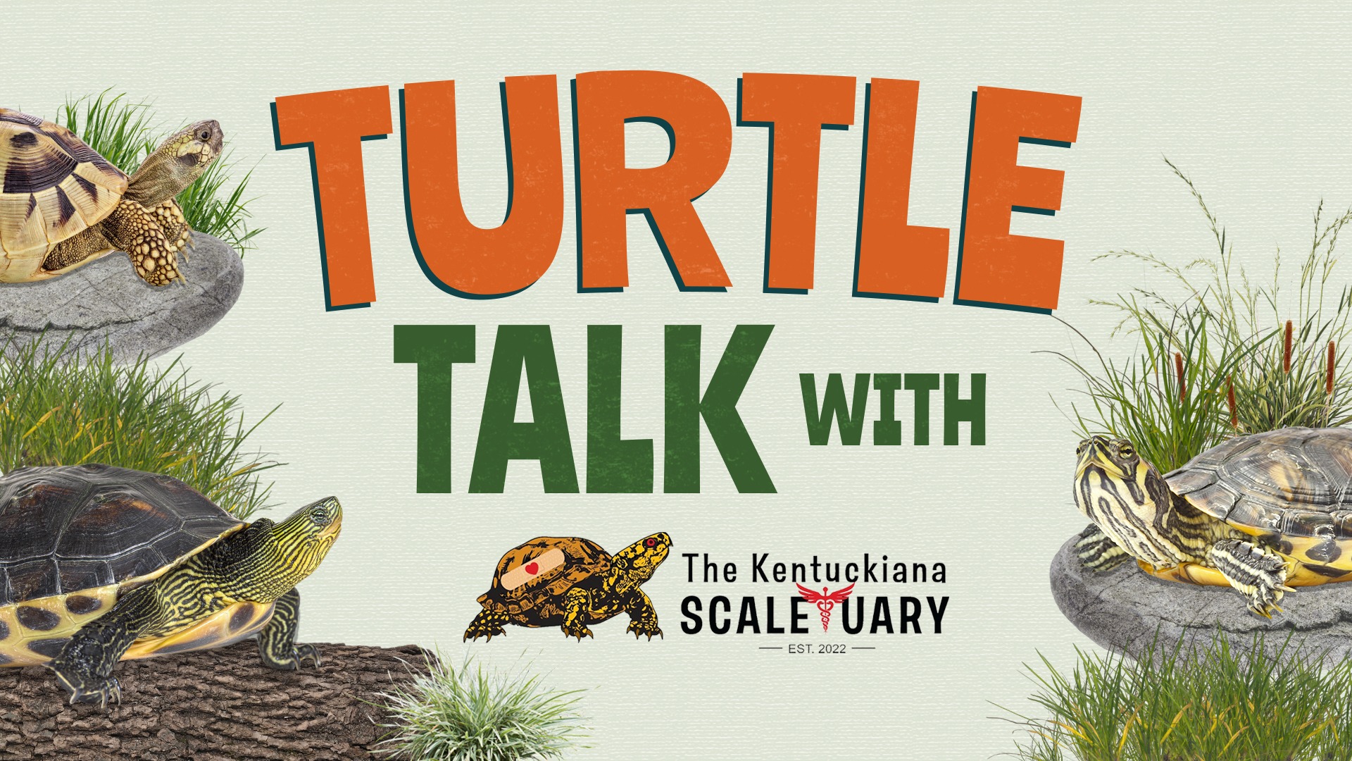 Join Our Board Reads "Turtle Talk with The Kentuckiana Scaletuary," with various turtles in nature setting.